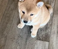 processed/eb413feb-d315-46cf-b605-e173a55fa9d3/listing/5192b510-e935-47b9-9a6e-ec37be4a77a3/f589fa06-f514-4c23-a023-68c0fa968c10