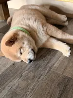 processed/eb413feb-d315-46cf-b605-e173a55fa9d3/listing/b0aff5cb-0ff9-4920-b06d-7201046f0c64/3d004ed5-be7e-445a-823d-8b40c21ba04a