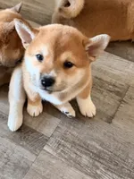 processed/eb413feb-d315-46cf-b605-e173a55fa9d3/listing/b6efad81-7fbf-4135-95d3-55c9f604c058/161aeac5-bc54-4612-8350-39a0303b4325