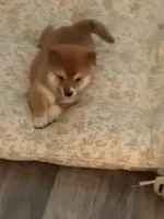 processed/eb413feb-d315-46cf-b605-e173a55fa9d3/listing/b6efad81-7fbf-4135-95d3-55c9f604c058/6657bc69-02f2-4d80-8f5e-f51dc04fd2fd