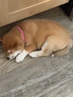 processed/eb413feb-d315-46cf-b605-e173a55fa9d3/listing/b6efad81-7fbf-4135-95d3-55c9f604c058/b18910c0-6819-4b75-9a4a-0639e3b12f98