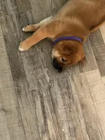 processed/eb413feb-d315-46cf-b605-e173a55fa9d3/listing/bdb180b1-877c-4c9f-9ac7-5b9564c92952/04250260-4881-4a6f-a992-cfca0bcf46ef