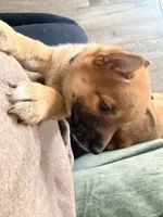 processed/eb413feb-d315-46cf-b605-e173a55fa9d3/listing/bdb180b1-877c-4c9f-9ac7-5b9564c92952/82b6afad-8735-4524-a500-e9c02c090fe6