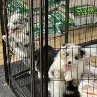 processed/eb459c3e-c300-4f87-9e3f-3dc9a4664243/facility/1d9c6323-cf15-43e8-91aa-d6ed1976ef72