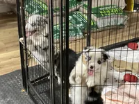 processed/eb459c3e-c300-4f87-9e3f-3dc9a4664243/facility/1d9c6323-cf15-43e8-91aa-d6ed1976ef72