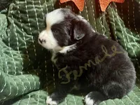 processed/eb459c3e-c300-4f87-9e3f-3dc9a4664243/listing/04772b10-0d4e-474b-8e68-0c91640c9a3d/00431bca-856d-4232-9d6e-6a8298631347