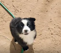 processed/eb459c3e-c300-4f87-9e3f-3dc9a4664243/listing/04772b10-0d4e-474b-8e68-0c91640c9a3d/1ebec936-90fe-4748-86f4-ae3033d024f6