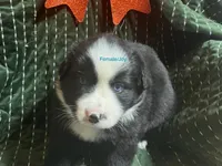 processed/eb459c3e-c300-4f87-9e3f-3dc9a4664243/listing/04772b10-0d4e-474b-8e68-0c91640c9a3d/4bda95d7-3442-47ef-a017-c2e74fa1ef69