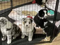 processed/eb459c3e-c300-4f87-9e3f-3dc9a4664243/listing/663d9967-3ba1-48b0-b1fb-953c5ef1e26d/528af3b2-a9f2-4dc8-b9ef-6ba9083b01fa