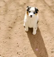 processed/eb459c3e-c300-4f87-9e3f-3dc9a4664243/listing/663d9967-3ba1-48b0-b1fb-953c5ef1e26d/8d626a5d-6fd4-4593-8d0e-a99e85081b2a