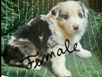 processed/eb459c3e-c300-4f87-9e3f-3dc9a4664243/listing/663d9967-3ba1-48b0-b1fb-953c5ef1e26d/d46f0329-598a-4a63-bb50-6a65491c06f1