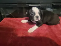 processed/eb51e38a-6b49-4f3c-9ded-37b966ec42a8/listing/05377f88-4380-4b38-83fe-2f24af36df6c/817c8ab7-d9be-4907-9791-c9d2b91e6be7