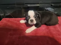 processed/eb51e38a-6b49-4f3c-9ded-37b966ec42a8/listing/05377f88-4380-4b38-83fe-2f24af36df6c/b46d9d8f-83c5-49c5-ba7f-733396b7cfc7