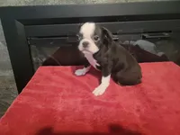 processed/eb51e38a-6b49-4f3c-9ded-37b966ec42a8/listing/05377f88-4380-4b38-83fe-2f24af36df6c/f919a5ae-4f6a-473e-afd8-f1a96af8230a