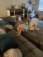 Opal, a female Great Pyrenees for sale in Covington, LA – 1 of 3