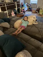 Opal, a female Great Pyrenees for sale in Covington, LA – 3 of 3