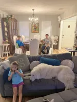Opal, a female Great Pyrenees for sale in Covington, LA – 2 of 3