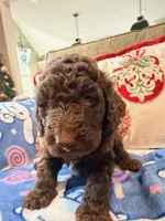 processed/eb698492-ba7e-4b24-98c3-821fbc8a8903/listing/63061a96-f7f3-4196-96d5-e9e83235eced/087b398d-9170-4351-935a-bb977a8f000b