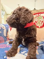 processed/eb698492-ba7e-4b24-98c3-821fbc8a8903/listing/63061a96-f7f3-4196-96d5-e9e83235eced/6b527669-e833-4e0f-8e5e-31e02860d5ac