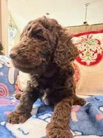 processed/eb698492-ba7e-4b24-98c3-821fbc8a8903/listing/63061a96-f7f3-4196-96d5-e9e83235eced/a8d8f397-96fa-43fc-b246-1b58945e6e27