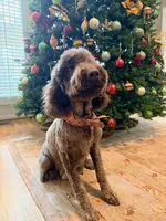 processed/eb698492-ba7e-4b24-98c3-821fbc8a8903/listing/63061a96-f7f3-4196-96d5-e9e83235eced/b9d4b727-a4e0-4871-a64a-1467f1bff584