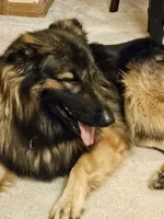 processed/eb7eddea-e223-4c65-90f1-bfb37ec7bac6/listing/f403da64-c198-43c2-976a-2ba051f2e850/59b836d0-81df-4b28-adc0-5e714999ce43