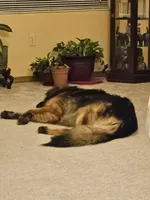 processed/eb7eddea-e223-4c65-90f1-bfb37ec7bac6/listing/f403da64-c198-43c2-976a-2ba051f2e850/69db7460-6691-43a3-873a-6b6dfdff56dd