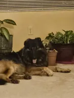 processed/eb7eddea-e223-4c65-90f1-bfb37ec7bac6/listing/f403da64-c198-43c2-976a-2ba051f2e850/8e90733b-b3be-47a5-9374-35e0cb91ae31