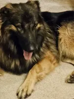 processed/eb7eddea-e223-4c65-90f1-bfb37ec7bac6/listing/f403da64-c198-43c2-976a-2ba051f2e850/b7c4151b-70e0-4c5f-b414-971ec8686388