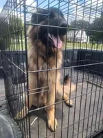 processed/eb7eddea-e223-4c65-90f1-bfb37ec7bac6/listing/f403da64-c198-43c2-976a-2ba051f2e850/c0e13861-f8aa-4049-b49d-cc8dcf0d6461