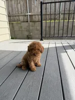 Facility photo