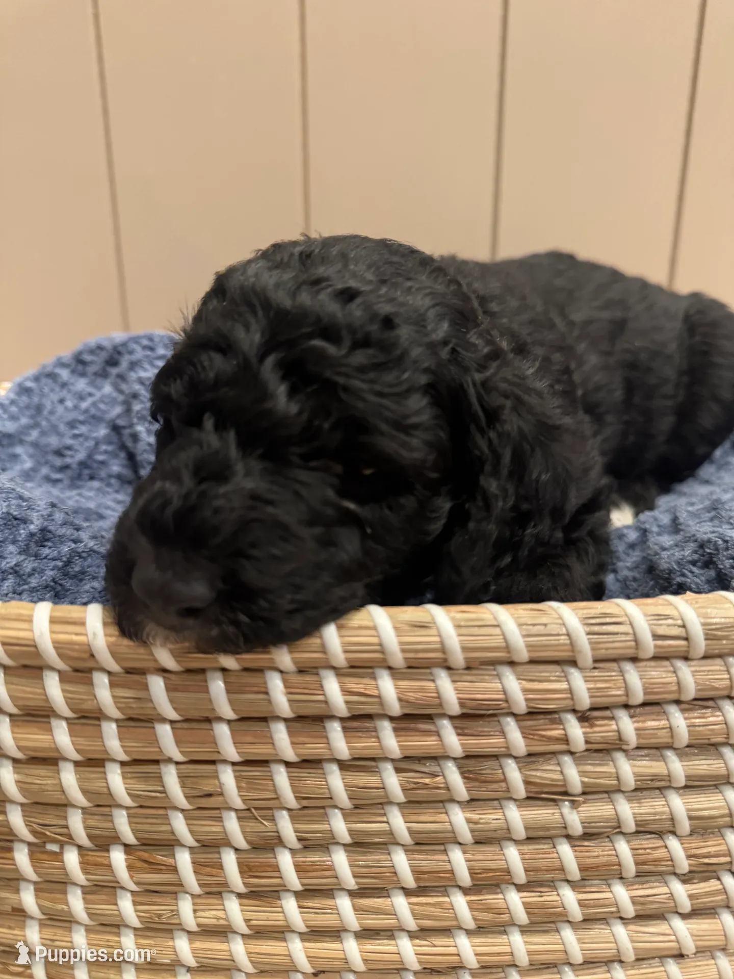 processed/eb850dff-f88a-400f-835f-880646b2f47a/listing/68998472-01d7-4f7e-af33-c097f1abbb31/01332020-37c2-49b0-b0a4-009a05ff40a1