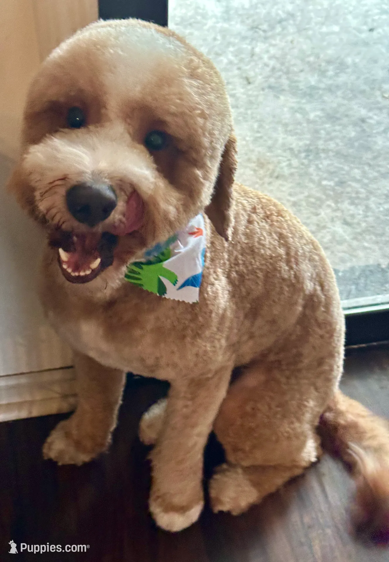 processed/eb850dff-f88a-400f-835f-880646b2f47a/listing/68998472-01d7-4f7e-af33-c097f1abbb31/2625371f-e7f8-4947-b88b-63999cdf908e