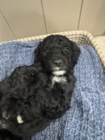 processed/eb850dff-f88a-400f-835f-880646b2f47a/listing/68998472-01d7-4f7e-af33-c097f1abbb31/32bc9825-29c6-445c-90ad-d33bb071143d