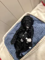 processed/eb850dff-f88a-400f-835f-880646b2f47a/listing/68998472-01d7-4f7e-af33-c097f1abbb31/388e6ecd-cc2e-4f90-85f9-2c27db120a37