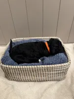 processed/eb850dff-f88a-400f-835f-880646b2f47a/listing/68998472-01d7-4f7e-af33-c097f1abbb31/3cc08b11-47f7-49d6-9efc-ed0ee0b427cc