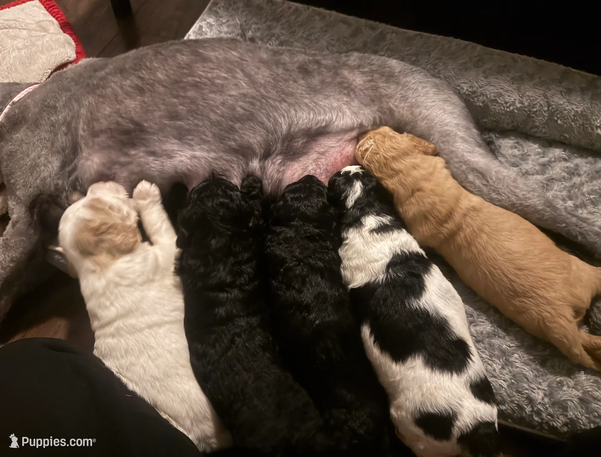 processed/eb850dff-f88a-400f-835f-880646b2f47a/listing/68998472-01d7-4f7e-af33-c097f1abbb31/829d1d42-6079-47e4-8259-c3b93471487e