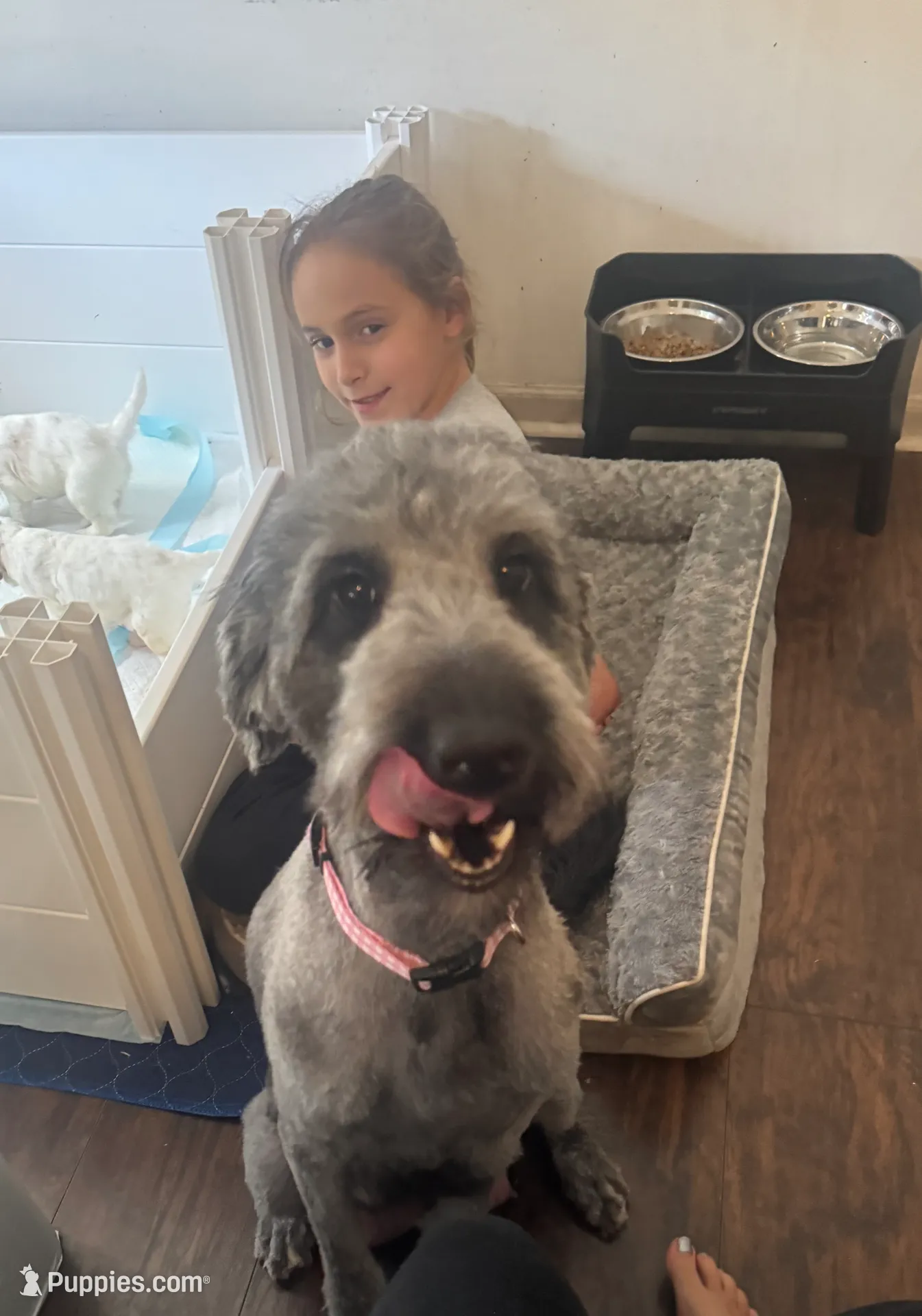 processed/eb850dff-f88a-400f-835f-880646b2f47a/listing/756df781-273a-4cfa-90b4-83bcd7162e81/014fe93f-6154-483c-9868-e0faa8fded59