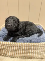 processed/eb850dff-f88a-400f-835f-880646b2f47a/listing/756df781-273a-4cfa-90b4-83bcd7162e81/1b6ec73b-0f73-4d6c-98a4-af8b51d55cac