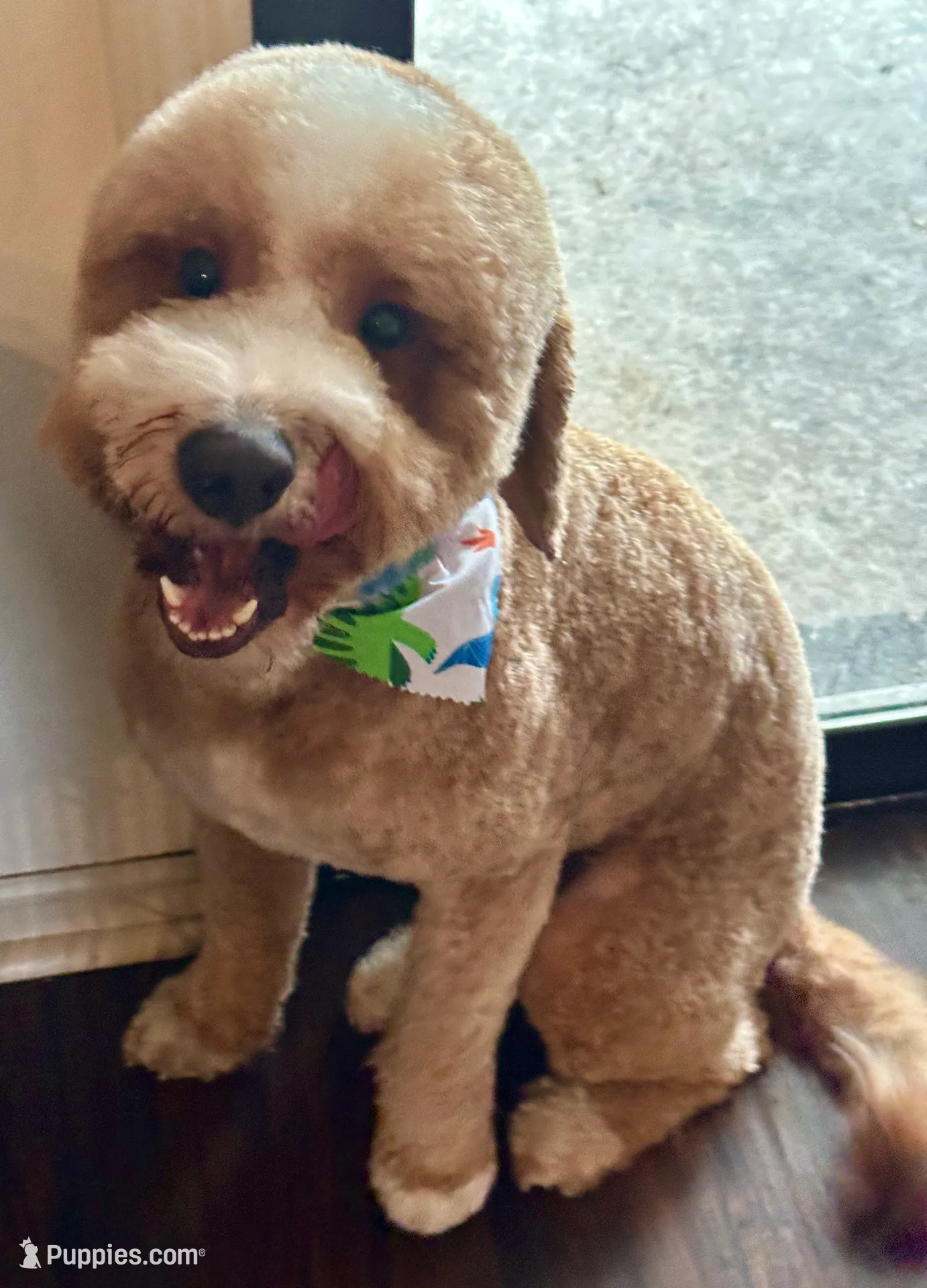 processed/eb850dff-f88a-400f-835f-880646b2f47a/listing/756df781-273a-4cfa-90b4-83bcd7162e81/20a4a786-f389-40f8-a4a0-7dcff8ed551a