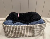 processed/eb850dff-f88a-400f-835f-880646b2f47a/listing/756df781-273a-4cfa-90b4-83bcd7162e81/324e85cb-5e46-4c87-9902-e95d601f8b92