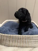 processed/eb850dff-f88a-400f-835f-880646b2f47a/listing/756df781-273a-4cfa-90b4-83bcd7162e81/50960d4b-1f64-49cc-bd58-8b4c311f710d