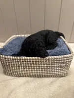 processed/eb850dff-f88a-400f-835f-880646b2f47a/listing/756df781-273a-4cfa-90b4-83bcd7162e81/94e84275-111c-44bc-af3d-8d61b7b31508