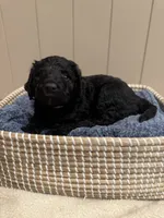 processed/eb850dff-f88a-400f-835f-880646b2f47a/listing/756df781-273a-4cfa-90b4-83bcd7162e81/df89fd53-2760-4299-8d3b-60445b1ac2cd