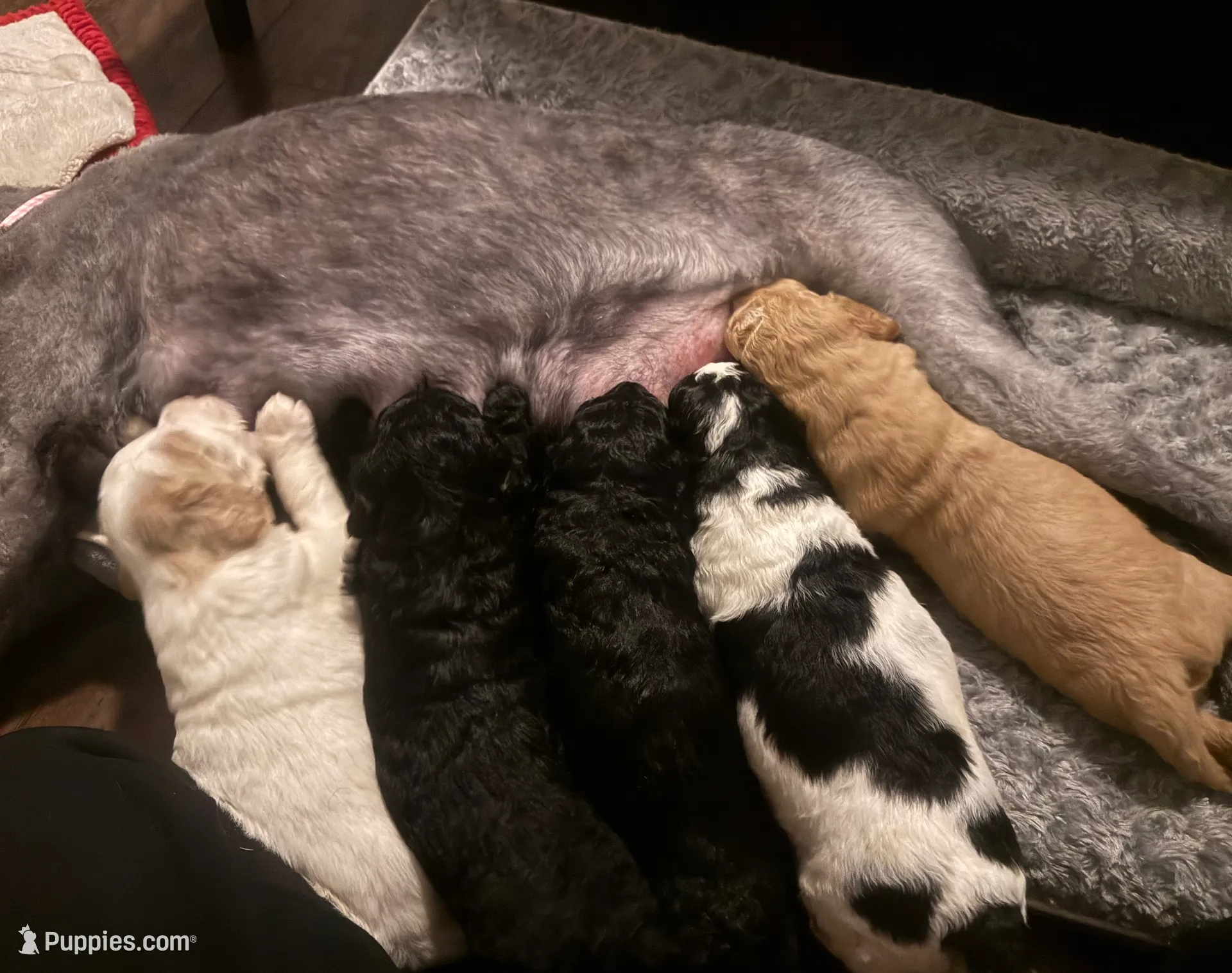 processed/eb850dff-f88a-400f-835f-880646b2f47a/listing/a41042e6-4ce3-4a5b-bcc9-9a5c2d0a243d/2716efd3-2854-45c0-9828-bab979dad402