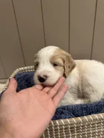 processed/eb850dff-f88a-400f-835f-880646b2f47a/listing/a41042e6-4ce3-4a5b-bcc9-9a5c2d0a243d/50ee0797-30d2-40bc-a70e-6d56fb970eb2