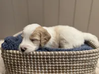 processed/eb850dff-f88a-400f-835f-880646b2f47a/listing/a41042e6-4ce3-4a5b-bcc9-9a5c2d0a243d/5eb2a99f-c871-4cc7-b07c-b0b3d815440b