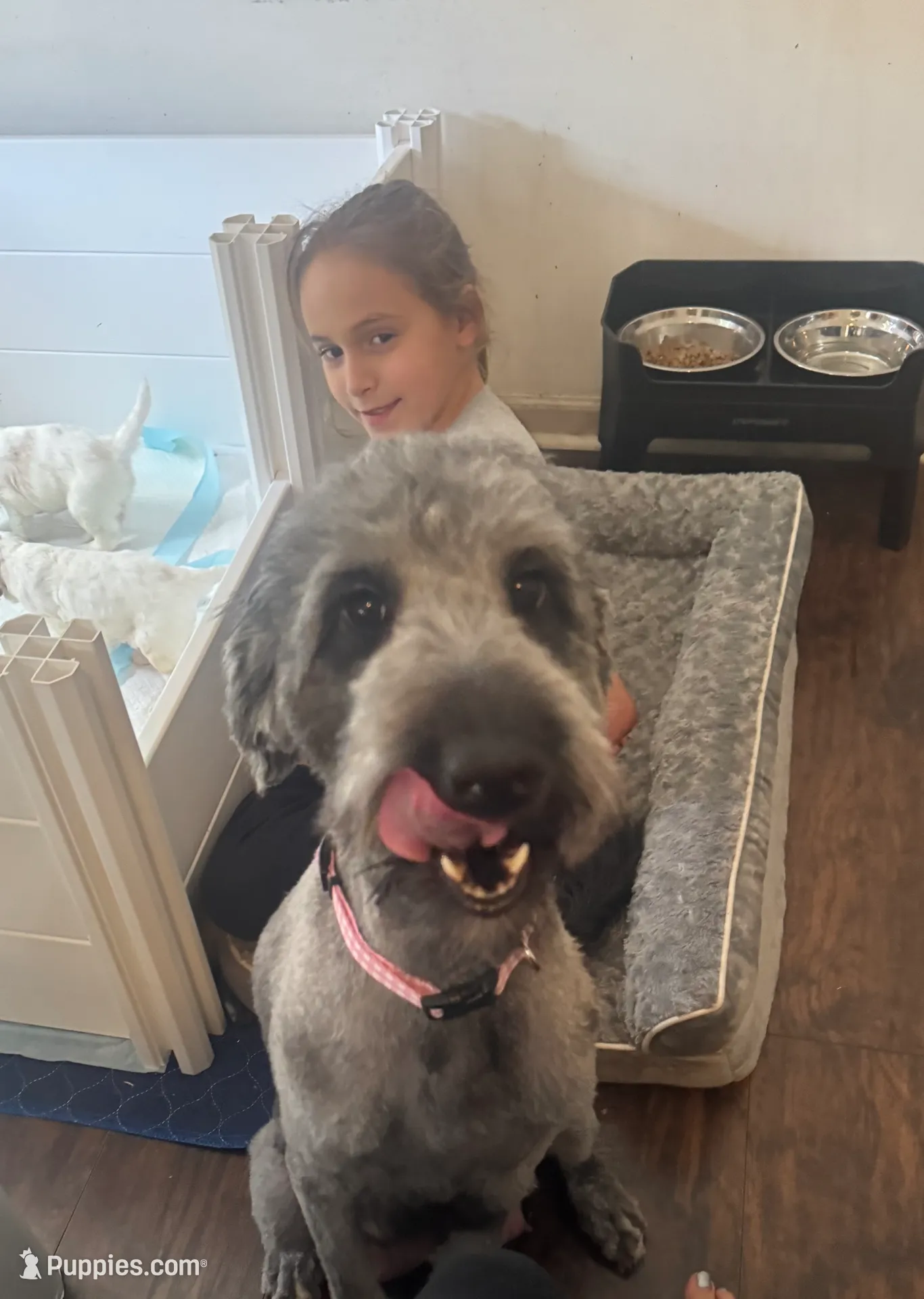 processed/eb850dff-f88a-400f-835f-880646b2f47a/listing/a41042e6-4ce3-4a5b-bcc9-9a5c2d0a243d/702fdd3e-1dfe-4b97-8cb8-f4757df744c1