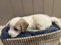 processed/eb850dff-f88a-400f-835f-880646b2f47a/listing/a41042e6-4ce3-4a5b-bcc9-9a5c2d0a243d/ae455596-8b1c-414b-8a5f-39872c43bd13