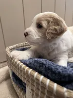 processed/eb850dff-f88a-400f-835f-880646b2f47a/listing/a41042e6-4ce3-4a5b-bcc9-9a5c2d0a243d/b3bcaafc-b502-406b-81ff-3e19751781aa